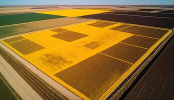 generatief ai, boerderij landschap, agrarisch tarwe velden, mooi platteland, land weg. natuur illustratie, fotorealistisch top visie drone, horizontaal spandoek. foto