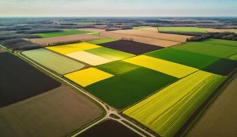 generatief ai, boerderij landschap, agrarisch tarwe velden, mooi platteland, land weg. natuur illustratie, fotorealistisch top visie drone, horizontaal spandoek. foto