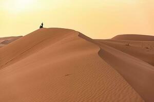 mooi Sahara woestijn Bij marokko foto