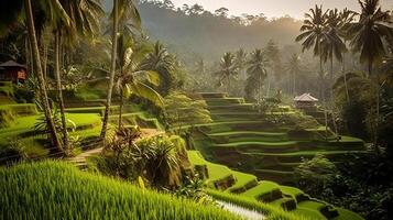 groen rijst- velden. illustratie generatief ai foto
