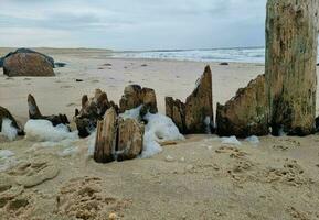 de eindeloos strand Bij de noordelijk zee hvidbjerg stranden blavand Denemarken foto