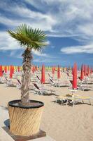 strand van lido di jesolo,adriatisch zee, veneto, italië, foto