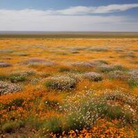 een duidelijk veld- met wild bloemen in bloesem ai gegenereerd foto