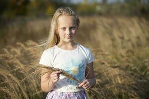 mooi weinig meisje in een weide met een boeket van kruiden.kind in een mooi zomer veld. foto