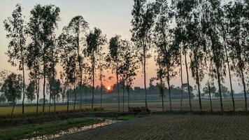 mooi avond landschap Bij zonsondergang. dorp in de buurt stad- van Bangladesh, Zuid Azië foto