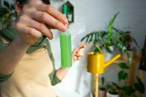 druppelen kunstmest voor ingemaakt planten, stimulator van ontwikkeling, groei versnelling, huis fabriek zorg. een fles van vloeistof is ingevoegd in de hand- van een vrouw. huis Bijsnijden productie foto