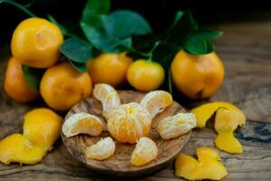 de calamondin oranje nitro fortunella macrocarpa is een hybride van mandarijn- een cumquat foto