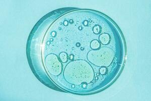Petri gerecht. petri's kop met vloeistof. chemisch elementen, olie, cosmetica. gel, water, moleculen, virussen. detailopname. Aan een blauw achtergrond. foto