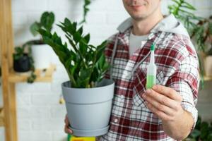 druppelen kunstmest voor ingemaakt planten zamiokulkas, stimulator van ontwikkeling, groei versnelling, huis fabriek zorg. een fles van vloeistof is ingevoegd in de hand- van Mens. huis Bijsnijden productie foto