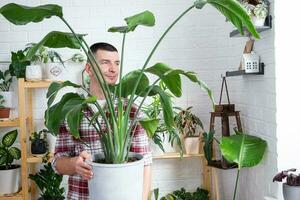 Mens fabriek fokker houden in hand- huis planten strelitzia in pot van haar verzameling Bij huis Aan de planken. zoeken voor ongedierte, zorg, water geven, meststoffen. huis Bijsnijden productie foto