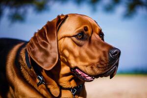 portret van een mooi hond staand in de park. generatief ai foto