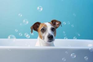 het wassen huisdier. schattig hond in bad Aan blauw achtergrond. generatief ai foto