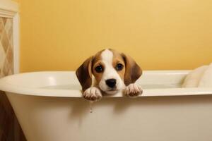 het wassen huisdier. schattig hond in bad met shampoo schuim. generatief ai foto