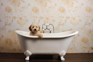 het wassen huisdier. schattig hond in bad met shampoo schuim. generatief ai foto