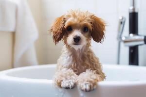 het wassen huisdier. schattig hond in bad met shampoo schuim. generatief ai foto