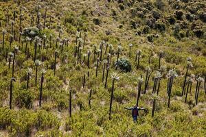 jong vrouw verkennen de natuur van een mooi paramo Bij de afdeling van cundinamarca in Colombia foto