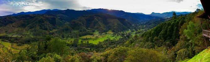 mooi panoramisch visie van de kokos vallei Bij de quindio regio in Colombia foto