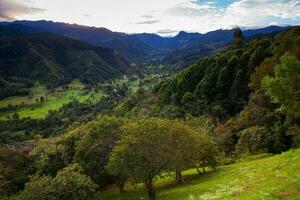 visie van de mooi wolk Woud en de quindio was- palmen Bij de kokos vallei gelegen in salento in de quindio regio in Colombia. foto