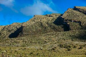 mooi landschap van Colombiaanse andean bergen tonen paramo type vegetatie in de afdeling van cundinamarca foto