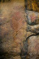 prehistorisch schilderijen Aan rots bekend net zo rotstekeningen in Colombia foto