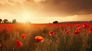 papaver bloem achtergrond voor anzac dag. illustratie ai generatief foto