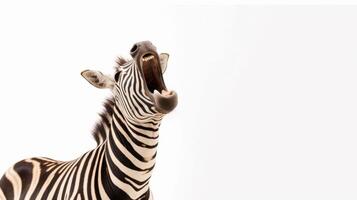 grappig zebra Aan wit achtergrond. illustratie ai generatief foto