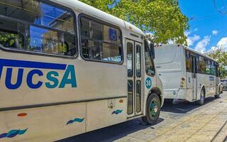 playa del carmen quintana roo Mexico 2021 divers kleurrijk bussen bus playa del carmen Mexico. foto