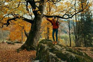 gelukkig reiziger beklommen een hoog steen in de buurt een boom en gebaren met haar handen pret emoties park foto