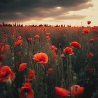 papaver bloem achtergrond voor anzac dag. illustratie ai generatief foto