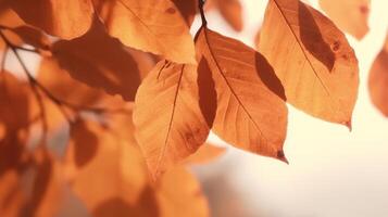 herfst bladeren achtergrond illustratie ai generatief foto