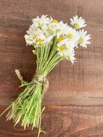 droog geneeskrachtig bloemen en kruiden Aan houten achtergrond. studio foto
