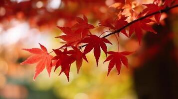 herfst bladeren achtergrond illustratie ai generatief foto