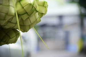 ketupat Aziatisch rijst- knoedel. ketupat is een natuurlijk rijst- behuizing gemaakt van jong kokosnoot bladeren voor Koken rijst- gedurende eid mubarak eid ul fitr foto