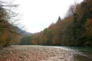 rivier- bergen herfst Woud landschap vers lucht natuur foto