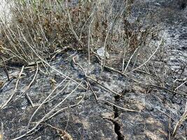 gebarsten land, droog gebarsten aarde bodem grond structuur achtergrond. foto