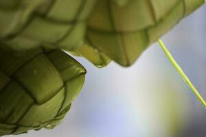 ketupat Aziatisch rijst- knoedel. ketupat is een natuurlijk rijst- behuizing gemaakt van jong kokosnoot bladeren voor Koken rijst- gedurende eid mubarak eid ul fitr foto