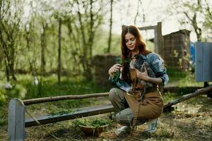 een vrouw met een kip in haar hand- cheques de versheid van biologisch voeden in de vogel voeder Bij een biologisch boerderij foto