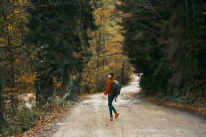 vrouw reist in herfst Woud Aan de weg landschap hoog bomen rugzak model- foto