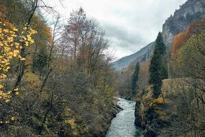 bergen herfst Woud rivier- landschap natuur reizen foto