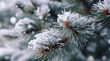 detailopname van Kerstmis pijnboom boom met sneeuw, illustratie ai generatief foto