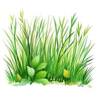 waterverf groen gras. illustratie ai generatief foto