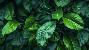 tropisch bladeren achtergrond. illustratie ai generatief foto