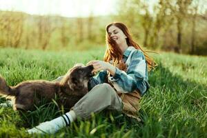 vrouw gelukkig glimlachen Bij spelen met haar weinig hond buitenshuis Aan vers groen gras in de zomer zonneschijn haar en haar honden Gezondheid, Gezondheid concept en tijdig behandeling voor insecten teken en Kruis aan vlooien foto