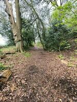 een visie van de Cheshire platteland in de buurt beeston foto