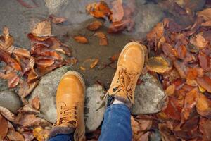 vrouw voeten Aan stenen gedaald herfst bladeren top visie foto