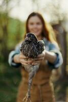 een gelukkig jong vrouw glimlacht net zo ze looks in de camera en houdt een jong kip dat legt eieren voor haar boerderij in de zonlicht. de concept van zorgzaam en gezond gevogelte foto