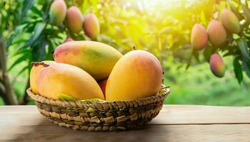 mango fruit hangende Aan een boom met een rustiek houten tafel foto