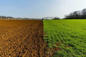 2023 03 05 lonigo voor de helft veld- 2 foto