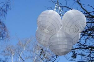 wit Chinese papier lantaarns hangende Aan een boom Afdeling foto