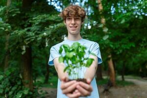 detailopname schot van een Mens Holding een groen fabriek in palm van zijn handen. dichtbij omhoog hand- Holding een een jong vers spruit. foto